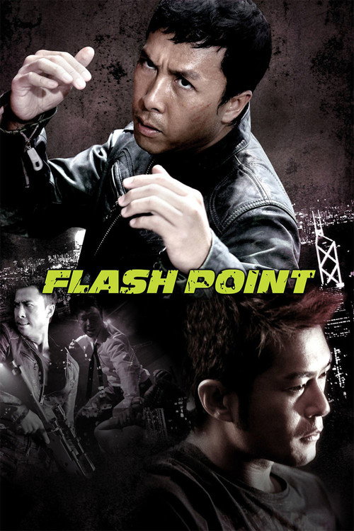 Flash Point (2007) Blu-Ray Dual Audio {Hindi-English} 480p - 720p - 1080p