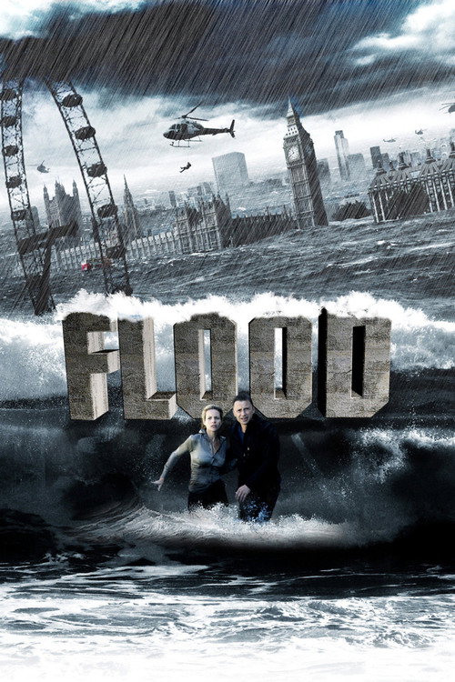 Flood (2007) Dual Audio {Hindi-English} BluRay 480p - 720p - 1080p