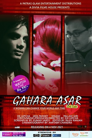 Gahara Asar Dil Tak (2021) Hindi Full Movie 480p - 720p