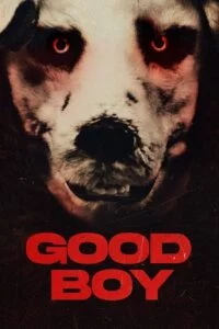 Good Boy (2022) Dual Audio [Hindi + Norwegian] BluRay 480p - 720p - 1080p