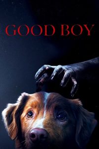 Good Boy (2025) WEB-DL {English With Subtitles} Full Movie 480p - 720p - 1080p