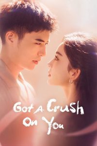 Got a Crush on You (Season 1) Hindi ORG Dubbed Series 480p 720p & 1080p WEB-DL
