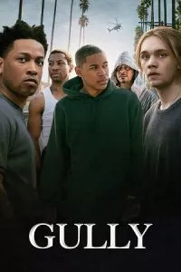Gully (2019) Dual Audio [Hindi + English] WeB-DL 480p - 720p - 1080p