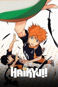 Haikyu!! (Season 1 – 4) Multi Audio {Hindi-English-Japanese} Series 480p 720p &amp; 1080p WEB-DL
