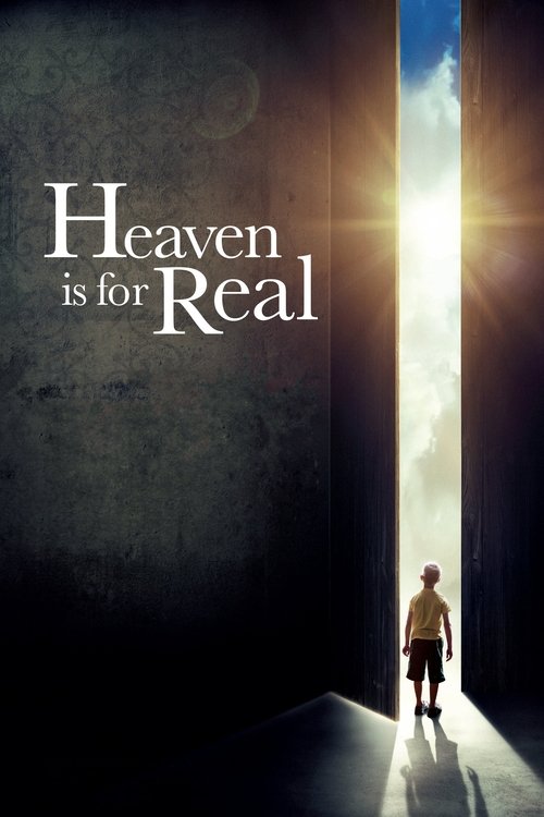 Heaven Is for Real (2014) Blu-Ray Dual Audio {Hindi-English} 480p - 720p - 1080p