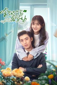 Hello Old Friend (Season 1) Hindi ORG Dubbed C-Drama Series 480p 720p & 1080p WEB-DL