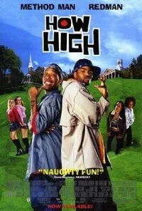 How High (2001) Dual Audio {Hindi-English} 480p - 720p - 1080p