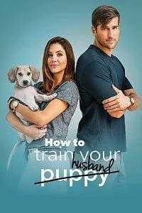 How to Train Your Husband (2018) Dual Audio {Hindi-English} 480p - 720p BluRay