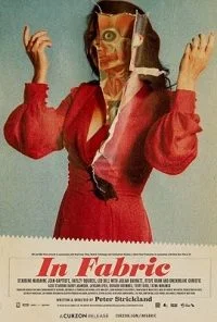 In Fabric (2018) Hindi Dubbed Full Movie 720p WEB-Rip