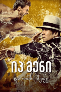Ip Man and Four Kings (2021) WEB-DL Dual Audio {Hindi-Chinese} 480p - 720p - 1080p
