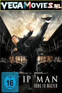 Ip Man: Kung Fu Master (2019) BluRay Hindi Dubbed [ORG] Full Movie 480p - 720p - 1080p