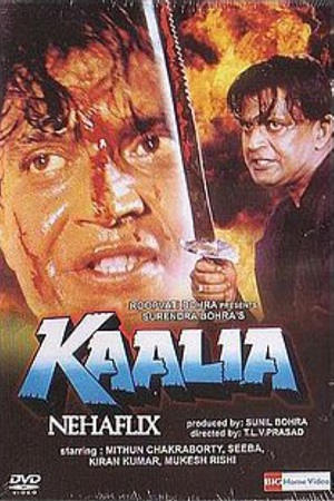 Kaalia (1997) Hindi Full Movie WEB-DL 480p - 720p - 1080p