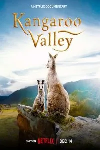 Kangaroo Valley (2022) Dual Audio {Hindi-English} 480p - 720p - 1080p