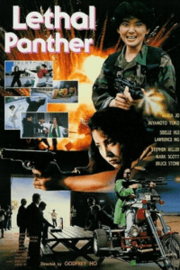 Lethal Panther (1990) BluRay Dual Audio {Hindi-English} 480p - 720p - 1080p