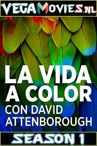 Life in Colour (Season 1) Netflix [English With Subtitles] 720p WEB-HD