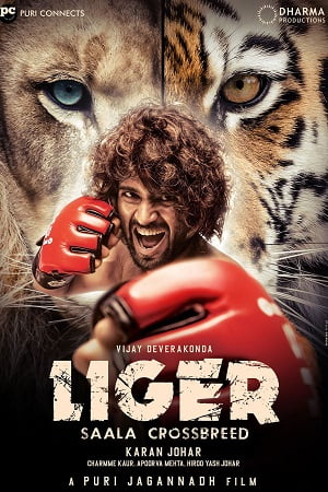 Liger (2022) Multi Audio [Hindi + Telugu + Tamil + Malayalam + Kannada] Full Movie WEB-DL 480p - 720p - 1080p - 2160p 4K