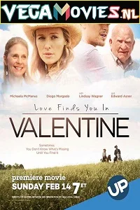 Love Finds You in Valentine (2016) Dual Audio {Hindi-English} 480p - 720p
