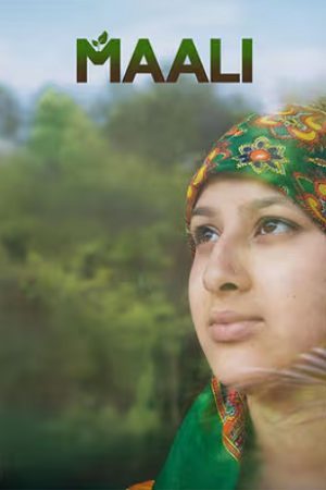 Maali (2025) Hindi Full Movie WEB-DL 480p - 720p - 1080p