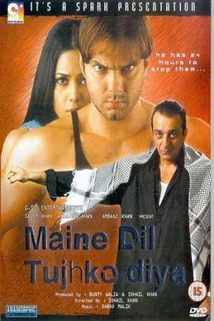 Maine Dil Tujhko Diya (2002) Hindi Full Movie 480p - 720p - 1080p