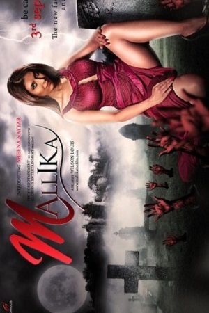Mallika (2010) HDRip Hindi Full Movie 480p - 720p - 1080p
