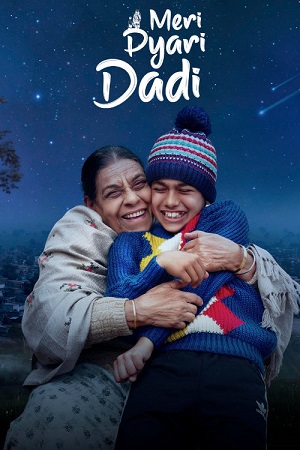 Meri Pyari Dadi (2025) Punjabi (DD5.1) Full Movie WEB-DL 480p - 720p - 1080p