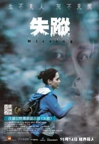 Missing (2019) Dual Audio Hindi BluRay 480p - 720p