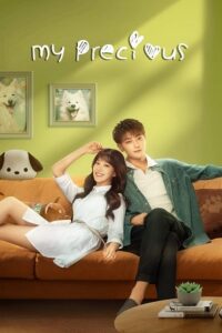 My Precious (Season 1) Dual Audio {Hindi ORG-Chinese} Series 480p - 720p - 1080p WEB-DL