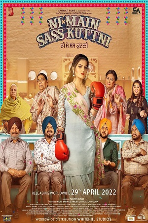 Ni Main Sass Kuttni (2022) CHTV WEB-DL Punjabi 480p - 720p - 1080p - 2160p 4K