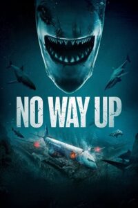 No Way Up (2024) Dual Audio [Hindi + English] WeB-DL 480p - 720p - 1080p