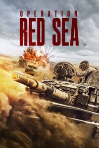 Operation Red Sea (2018) Dual Audio {Hindi-English} BluRay 480p - 720p - 1080p