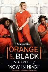 [18+] Orange Is the New Black – Netflix Original (Season 1-7) Dual Audio {Hindi-English} 480p - 720p
