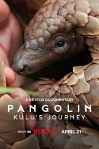 Pangolin: Kulu’s Journey (2025) WEB-DL Dual Audio {Hindi-English} 480p - 720p - 1080p