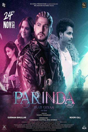 Parinda Paar Geyaa (2023) Punjabi Movie CHTV WEB-DL 480p - 720p - 1080p
