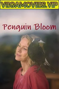 Penguin Bloom (2020) HDCAM English 480p - 720p