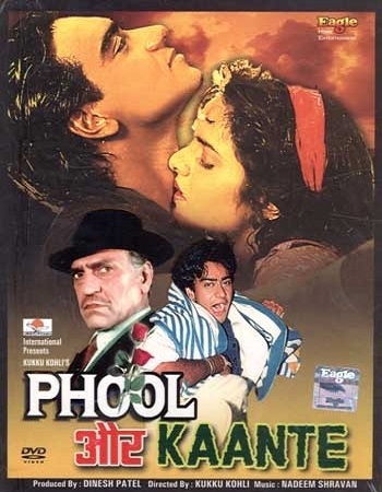 Phool Aur Kaante (1991) Hindi Full Movie WeB-DL 480p - 720p - 1080p