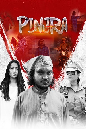 Pinjra (2025) WEB-DL {Punjabi DD5.1} Full Movie 480p - 720p - 1080p