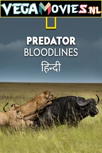 Predator Bloodlines (2021) Season 1 Hindi Complete DSNP WEB Series 480p - 720p HDRip