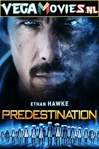Predestination (2014) Dual Audio {Hindi-English} 480p - 720p - 1080p