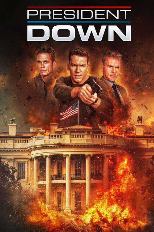 President Down (2025) BluRay Dual Audio {Hindi-English} 480p - 720p - 1080p