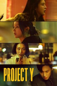 Project Y (2025) WEB-DL Dual Audio {Hindi-Korean} 480p - 720p - 1080p