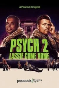 Psych 2 (2020) Dual Audio {Hindi-English} 480p - 720p
