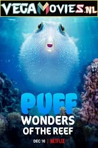 Puff: Wonders of the Reef (2021) Dual Audio {Hindi-English} 720p HDRip
