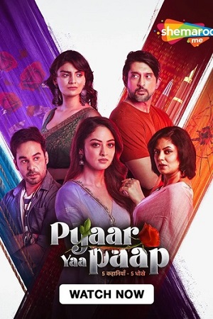 Pyaar Yaa Paap (Season 1) Hindi Complete SM WEB-DL Series 480p - 720p - 1080p
