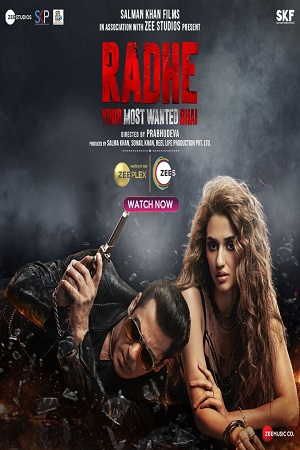 Radhe (2021) Hindi Full Movie WEB-DL 480p - 720p - 1080p