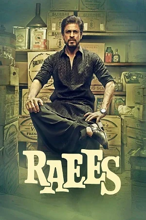Raees (2017) Hindi Full Movie 480p - 720p - 1080p