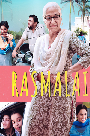 Rasmalai (Season 1) Punjabi Complete Web Series 480p - 720p - 1080p WEB-DL