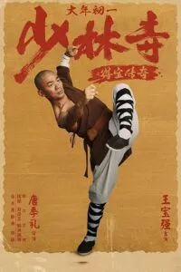 Rising Shaolin: The Protector (2021) HDRip Dual Audio {Hindi-Chinese} 480p - 720p