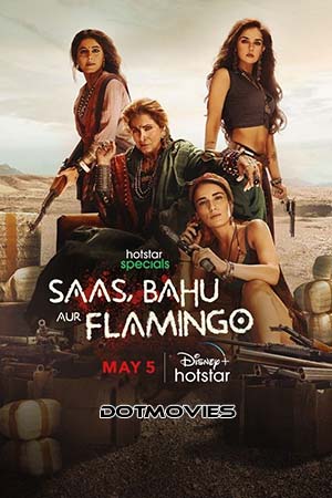 Saas Bahu Aur Flamingo (Season 1) Hindi Disney+ Hotstar Complete WEB Series 480p - 720p - 1080p WEB-DL