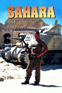 Sahara (1995) Dual Audio {Hindi-English} BluRay 480p - 720p - 1080p
