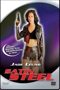 Satin Steel (1994) Dual Audio Hindi 480p - 720p